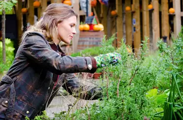 La hierba medicinal que crece en la Patagonia y mejora la salud con múltiples beneficios