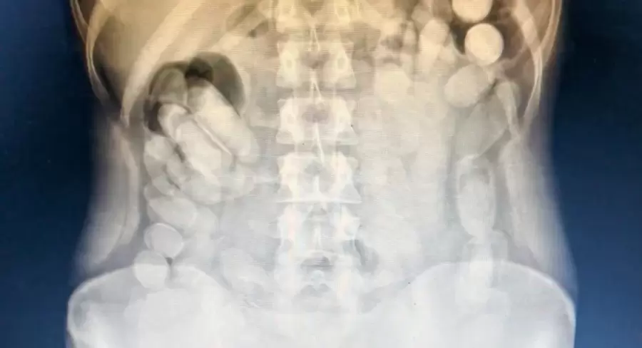 Fuente: Gendarmería Nacional