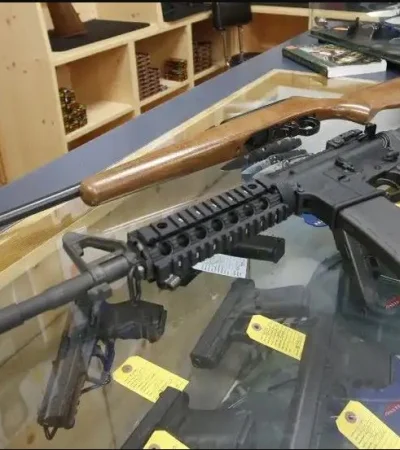 El gobierno libertario toma una decisión que le permite a la sociedad civil adquirir armamento con mayor alcance y más poder de fuego.