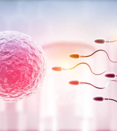 Especialistas de la UNCUYO compartirán información clave sobre fertilidad.