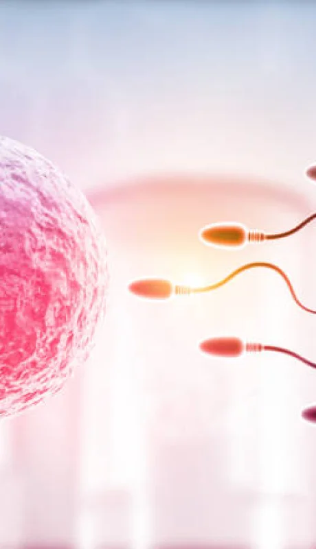 Especialistas de la UNCUYO compartirán información clave sobre fertilidad.