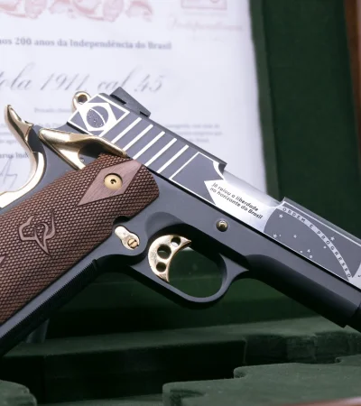 Las armas de puño también están reglamentadas