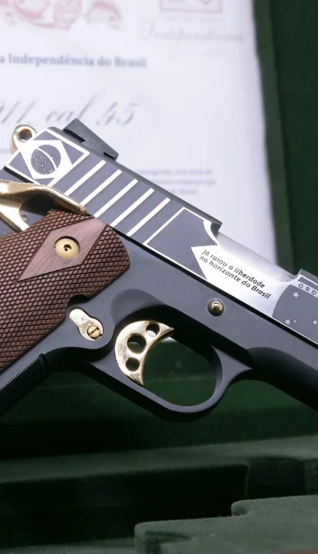 Las armas de puño también están reglamentadas