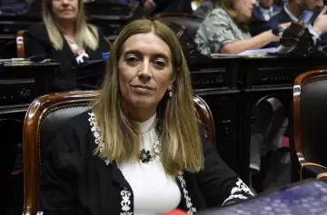 Diputados quieren asegurar dinero para el Hospital Garrahan y las universidades