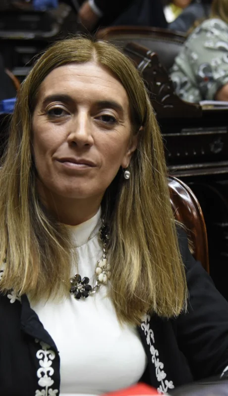 Diputada Danya Tavela