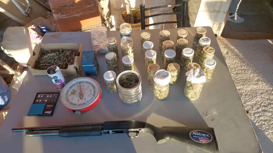 Productos ilegales secuestrados por la Policía de Mendoza.