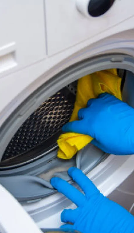 Moho en la goma de la lavadora.