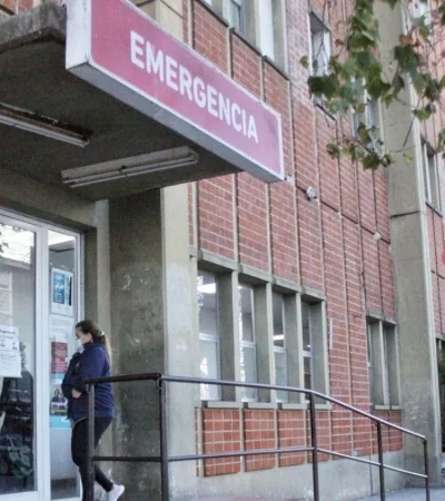 El nene murió en el Hospital Interzonal Especializado Materno Infantil. (Foto: web)
