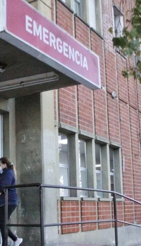 El nene murió en el Hospital Interzonal Especializado Materno Infantil. (Foto: web)