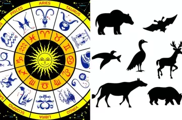 Astrología animal: cuál es tu espíritu guardián según el zodíaco