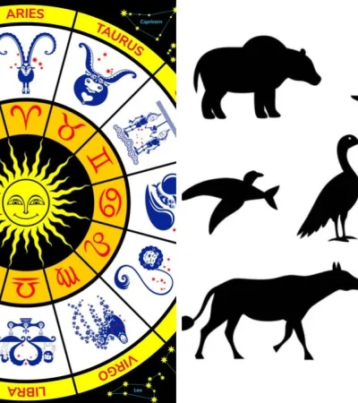 ¿Y si tu signo escondiera un vínculo secreto con una criatura poderosa?