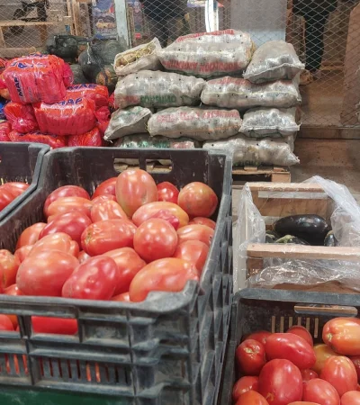 Producción mendocina en crisis.