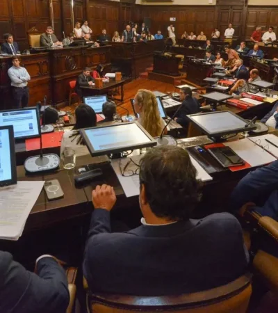 El Senado dio media sanción a la suspensión de las PASO