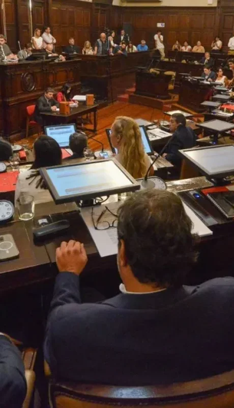 El Senado dio media sanción a la suspensión de las PASO