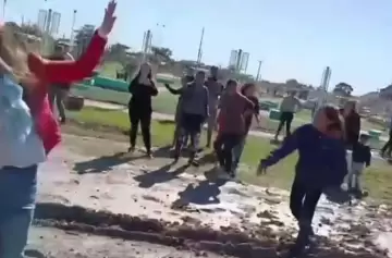 Intolerancia política: diputada radical fue atacada por una patota del PJ en Formosa