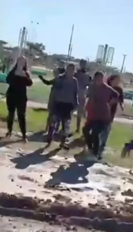 La legisladora radical, agredida por una patota. (Foto: web)