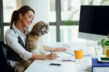 El impacto positivo de llevar mascotas al trabajo: una ventaja poco conocida