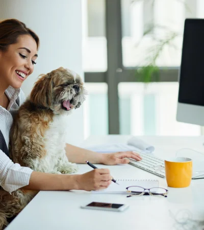 El vínculo emocional que transforma oficinas.