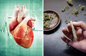 ¿Qué pasa en tu sistema cardiovascular cuando fumás marihuana?