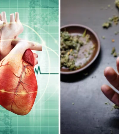 Porro y corazón: lo que deberías saber antes de fumar, según un experto.