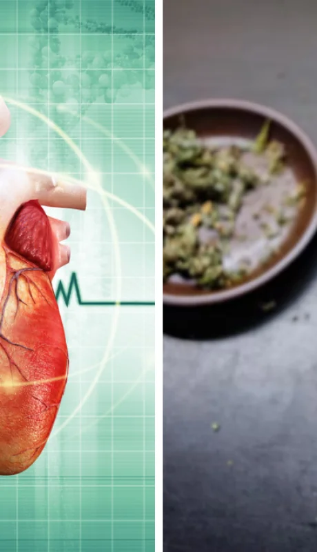 Porro y corazón: lo que deberías saber antes de fumar, según un experto.