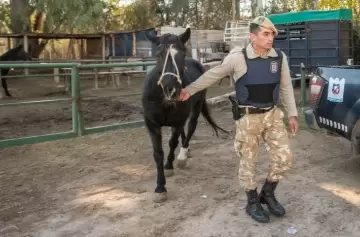 La Policía Rural desmantela una red de carne ilegal y frena tráfico de especies