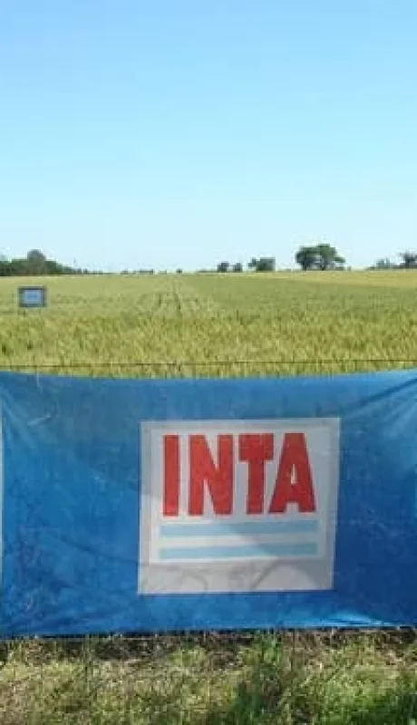 INTA.