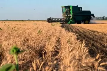 El Gobierno prorrogó la baja de retenciones para trigo y cebada, pero otras aumentaron