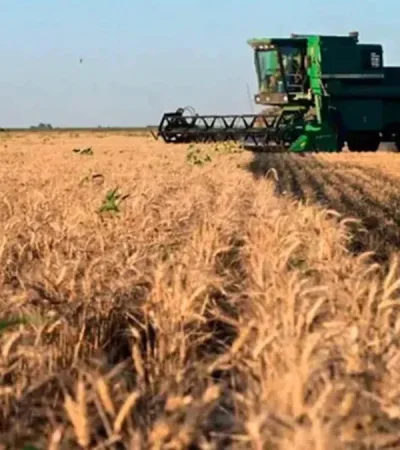 Imagen ilustrativa: archivo web