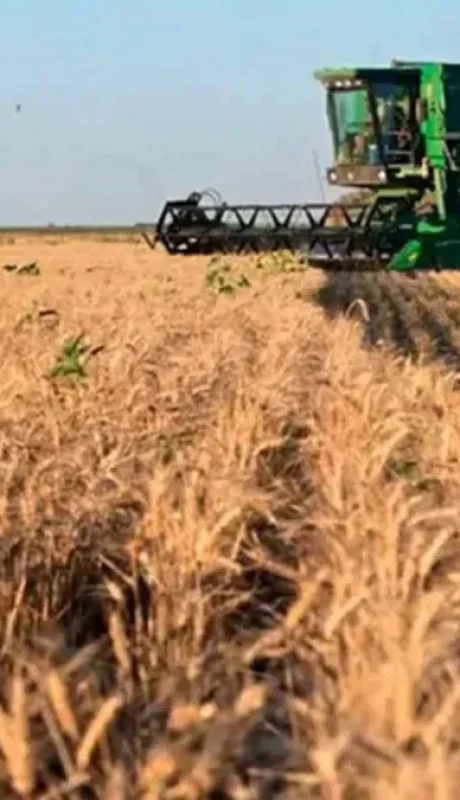 Imagen ilustrativa: archivo web