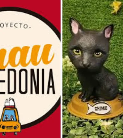 Esculturas personalizadas de mascotas: el proyecto argentino que toca corazones.