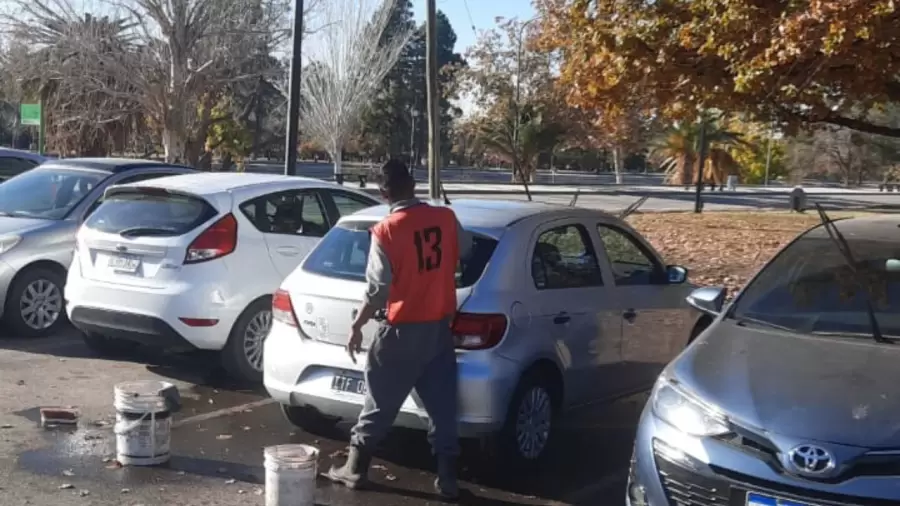 Cada uno de ellos tendrá un chaleco numerado y una credencial con sus datos.