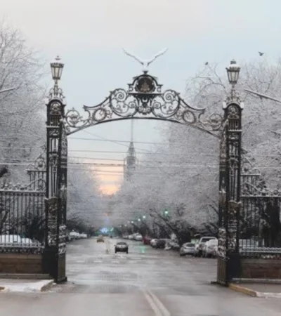 Nieve en Mendoza.