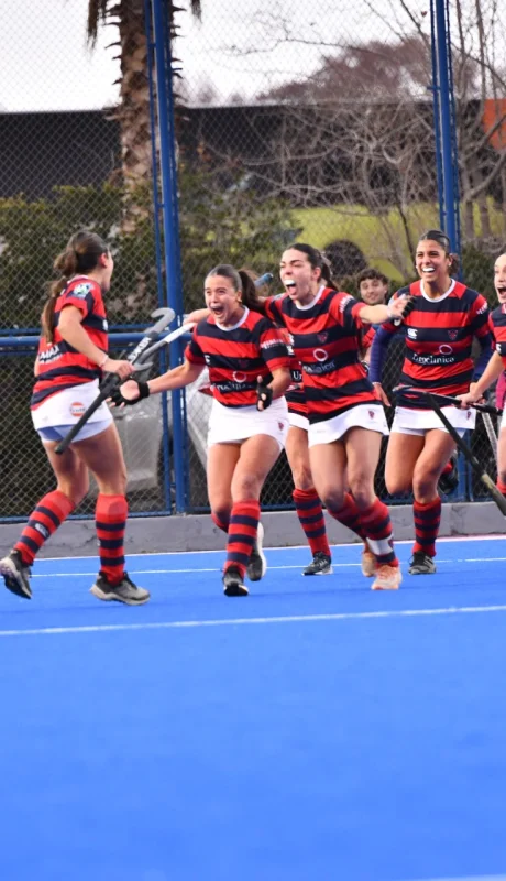 Los Tordos se quedó con el título al vencer en la final a Regatas Andino