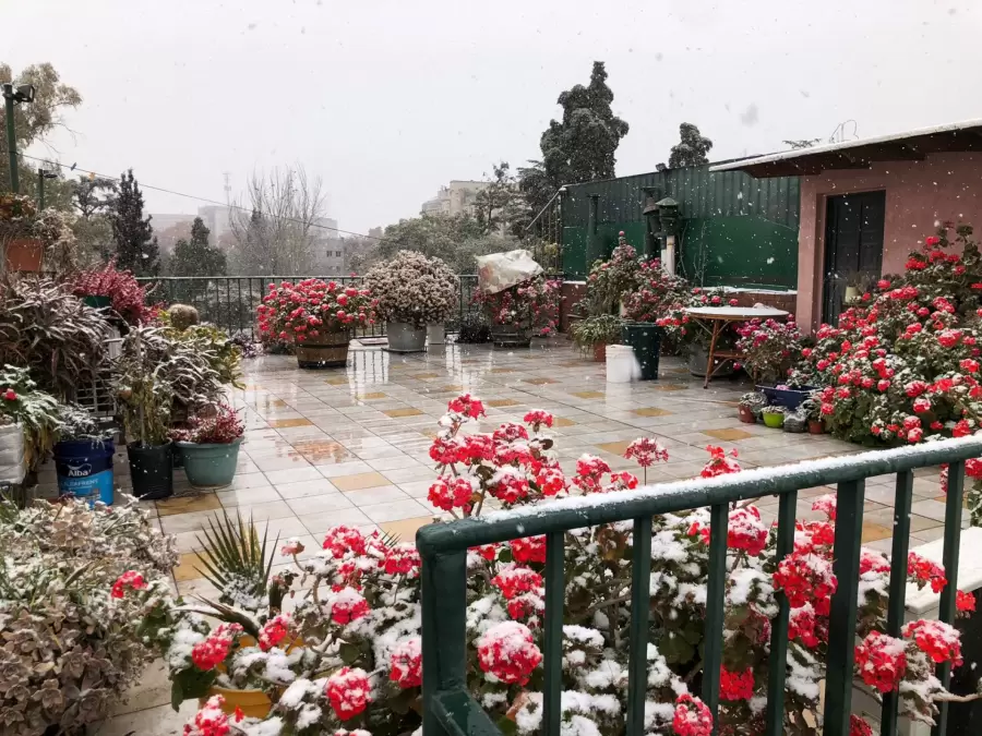 imagen de whatsapp 2025-06-29 a las 11.28.25_7728e24b