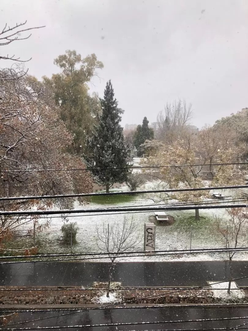 imagen de whatsapp 2025-06-29 a las 11.28.24_1cb58895