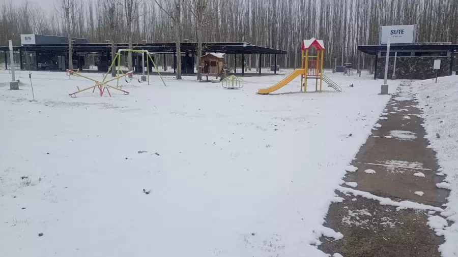 imagen de whatsapp 2025-06-29 a las 11.47.55_f4051cfb