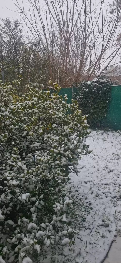 imagen de whatsapp 2025-06-29 a las 11.31.27_aa8c2c6e