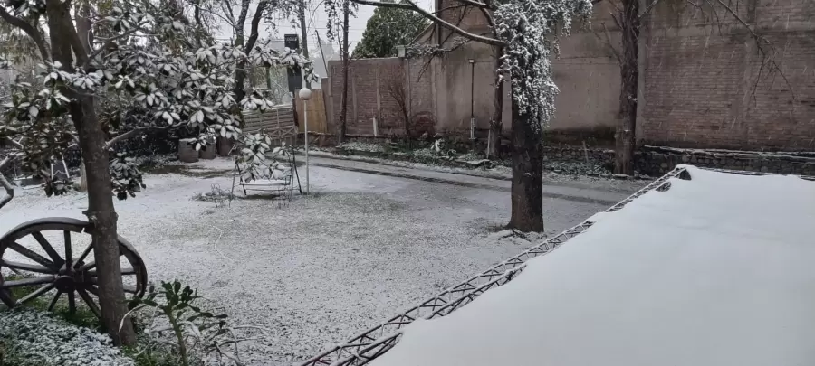 imagen de whatsapp 2025-06-29 a las 11.39.08_e5ad2eec