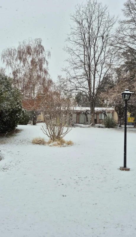 Por las intensas nevadas registradas en Mendoza, la DGE decidió suspender las clases. Foto: Gentileza Paola Herrada