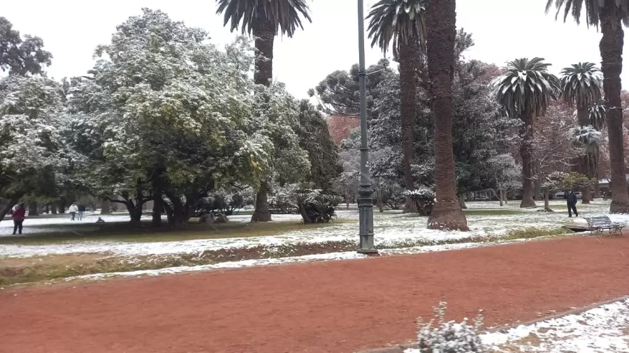 Olar de frío polar en Mendoza/ Gentileza: Carolina Colussi