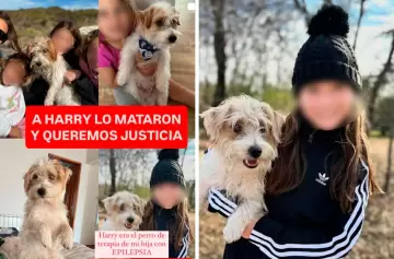 Indignación en Córdoba: le dispararon a un perro de terapia y su familia pide justicia