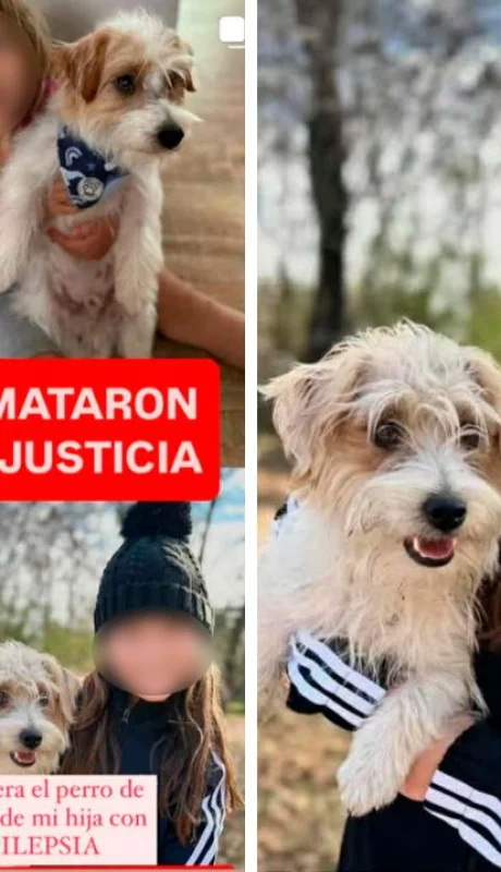 Un caso que estremece Calamuchita.