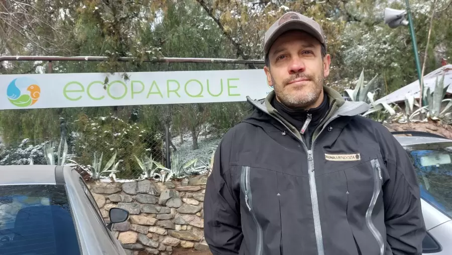 imagen de whatsapp 2025-06-30 a las 15.29.59_247f7c93