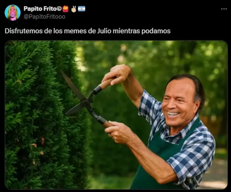 Los memes de julio 2025.