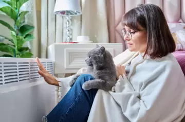 ¿Con qué sistema es mejor calefaccionarse: panel, split o radiador eléctrico?