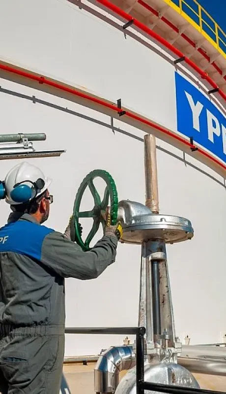 "YPF es privada, y no va a dejar de producir o de desarrollar solo porque esté en medio de un juicio" (Nau Bernués)