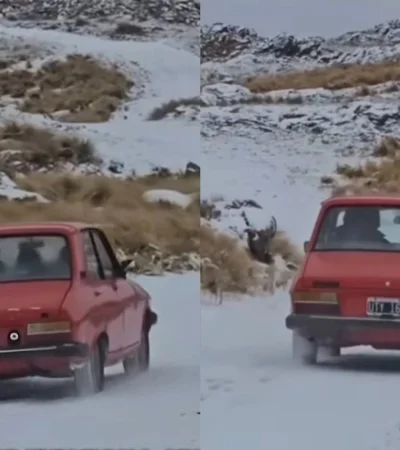 Renault 12 en la nieve.