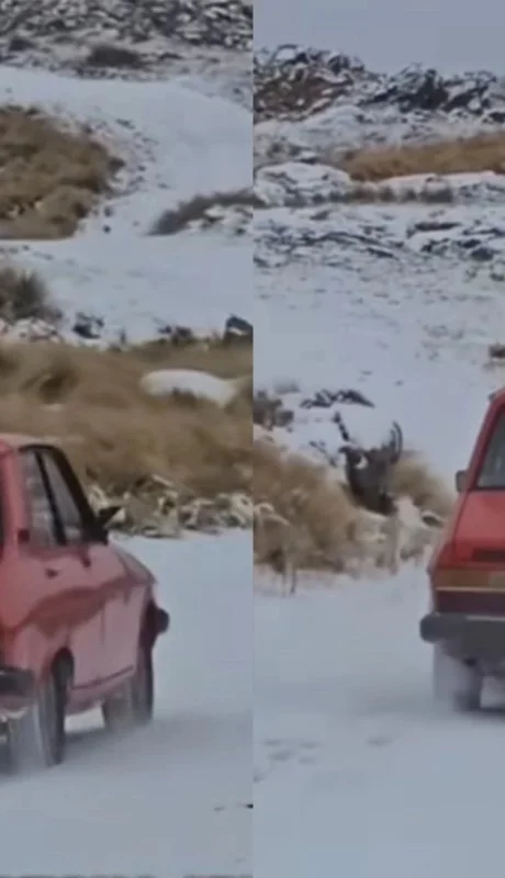 Renault 12 en la nieve.