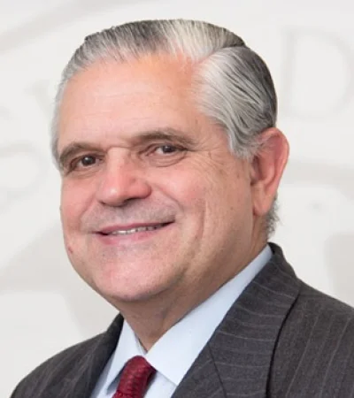 El diputado Ricardo López Murphy presentó un proyecto de ley para reemplazar el peso por una nueva moneda llamada "Argentum"